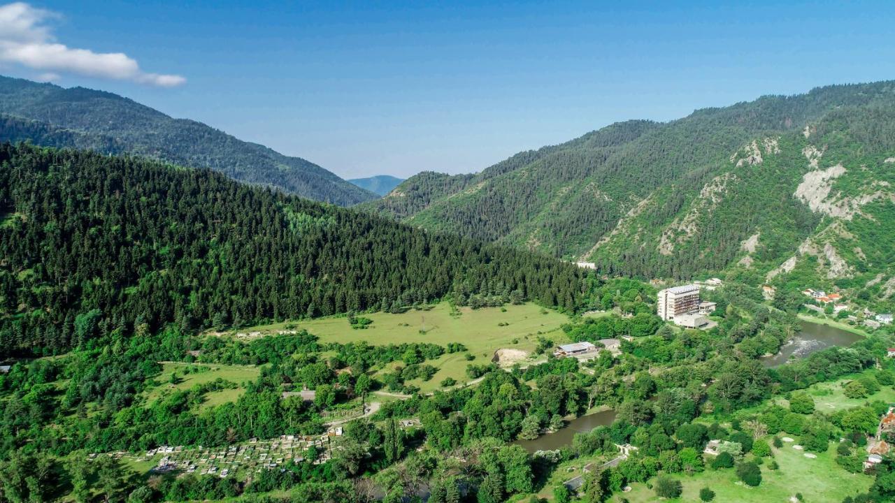 Natali Hotel Borjomi Eksteriør billede