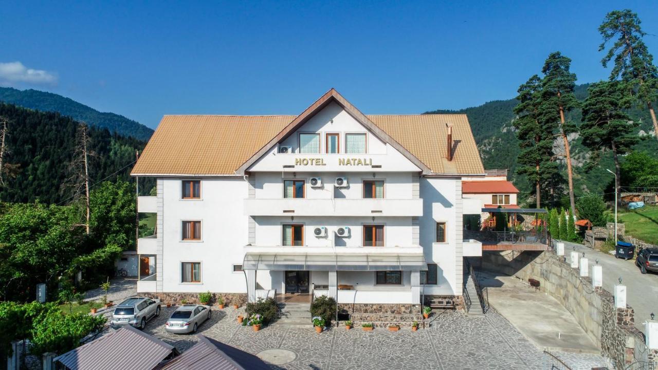 Natali Hotel Borjomi Eksteriør billede