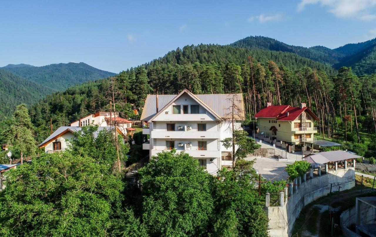 Natali Hotel Borjomi Eksteriør billede