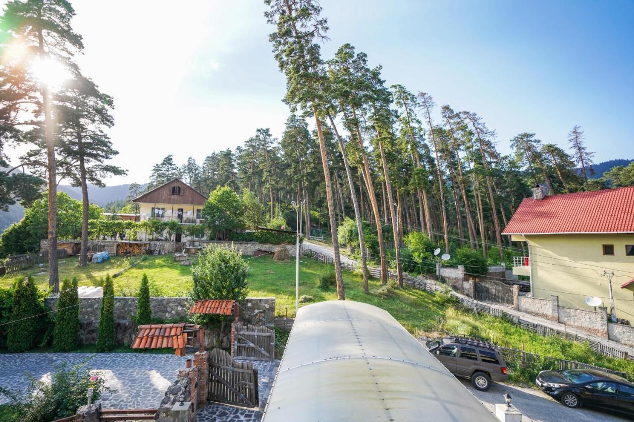 Natali Hotel Borjomi Eksteriør billede