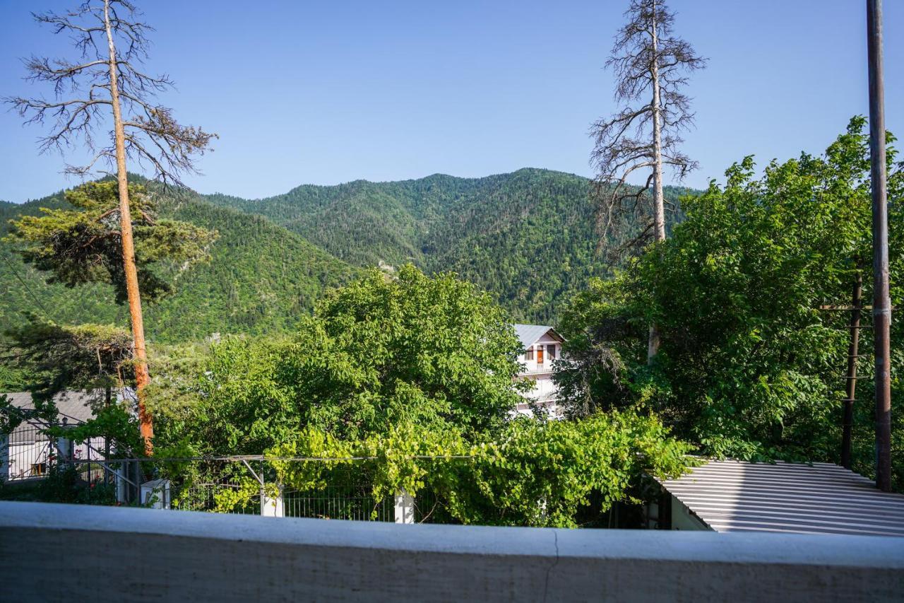 Natali Hotel Borjomi Eksteriør billede