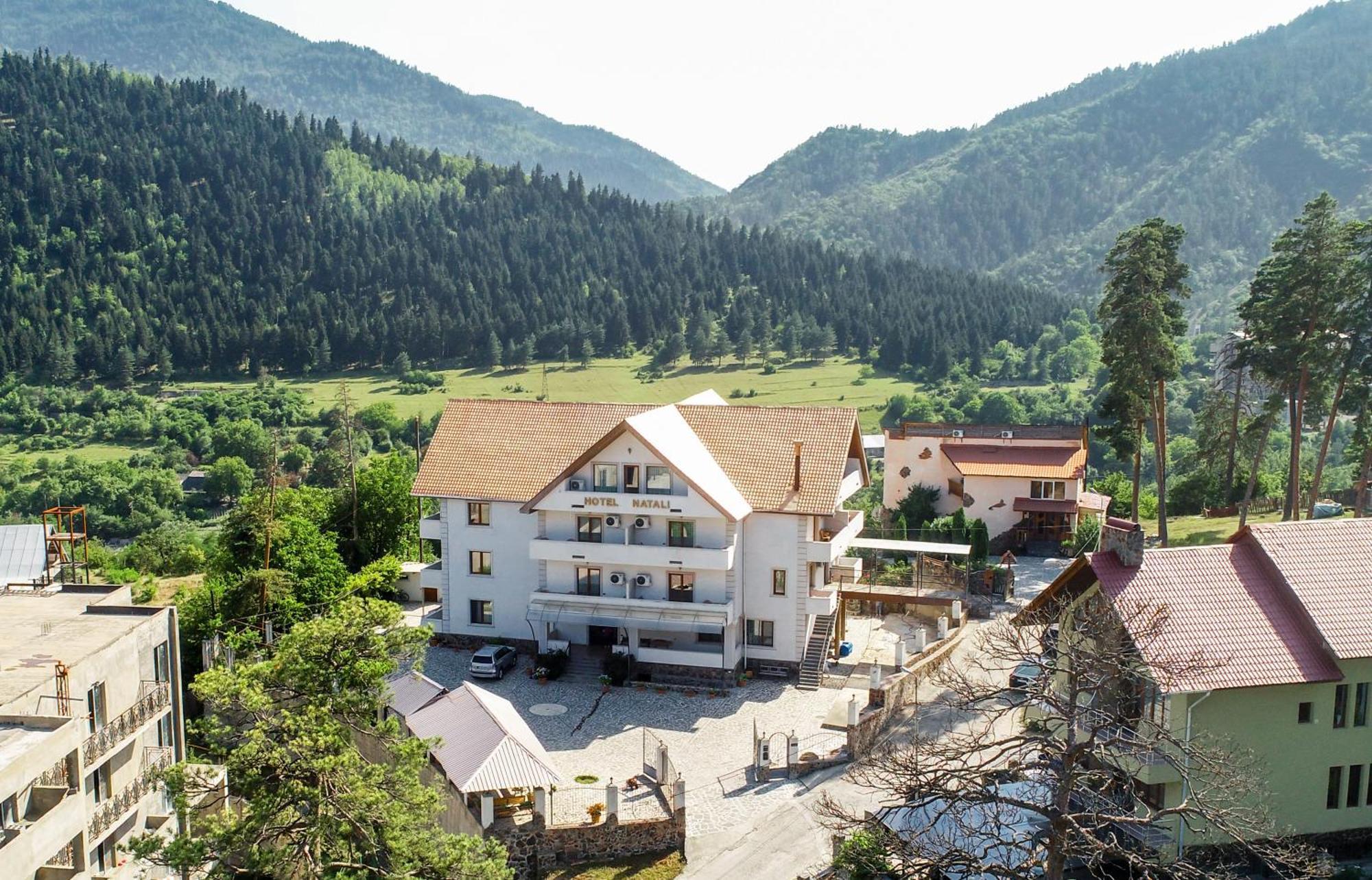 Natali Hotel Borjomi Eksteriør billede