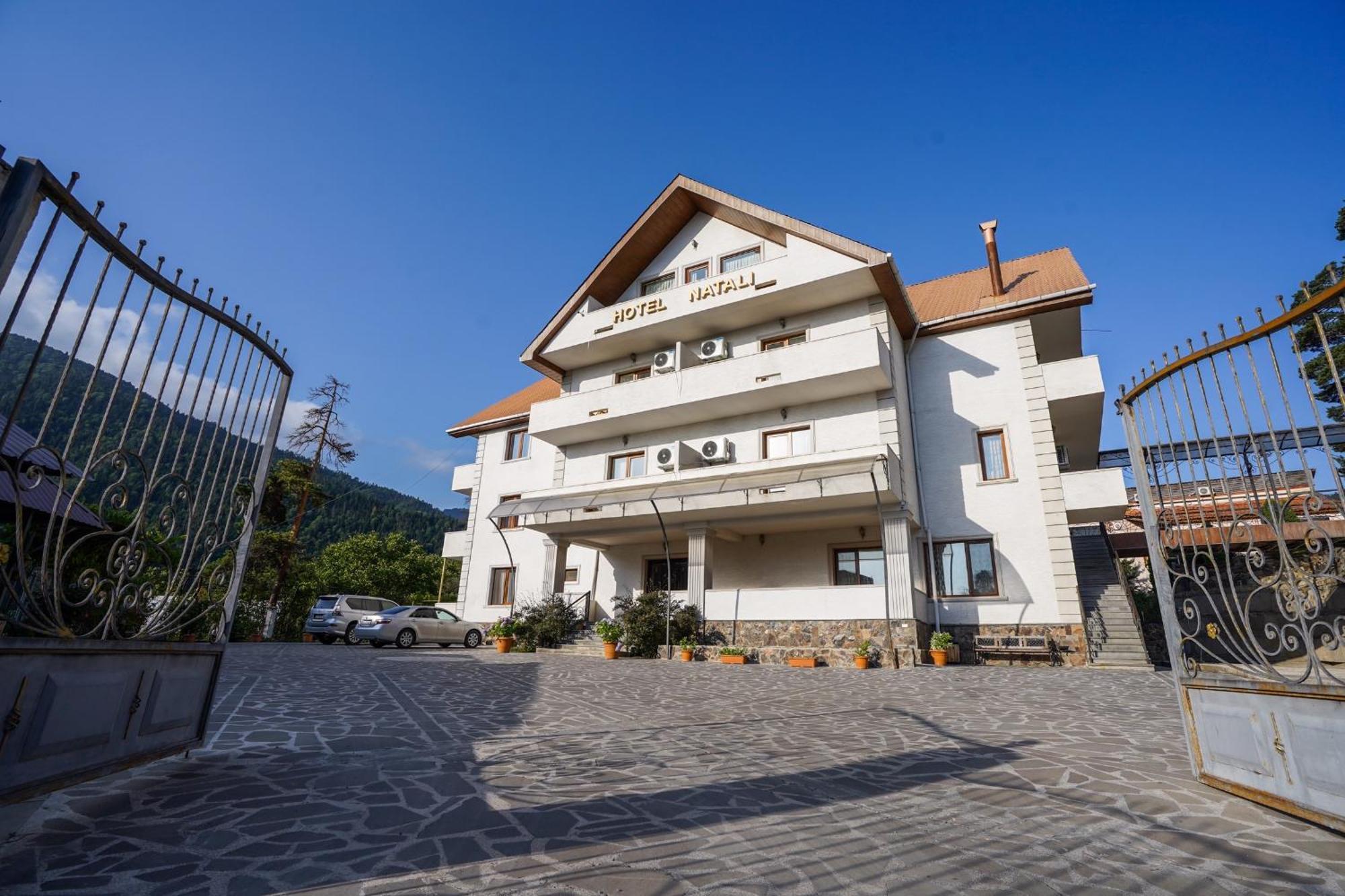 Natali Hotel Borjomi Eksteriør billede